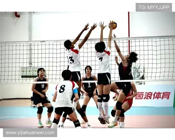 排球盛宴：深入了解上海排球队的默契与团队精神