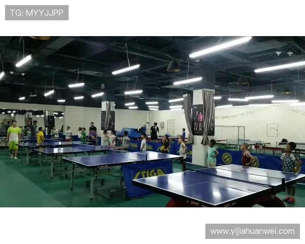 赵敏乒乓球人生的深度对话与成长历程探讨